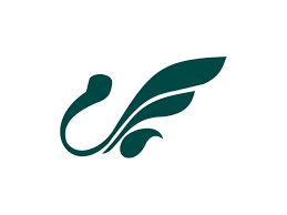 ماهان ایر